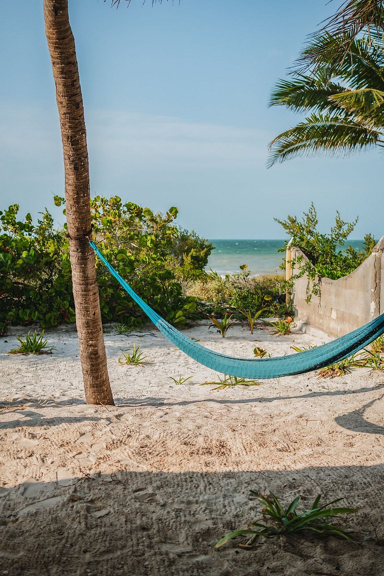 PLAYA Picheta Telchac Beach Front